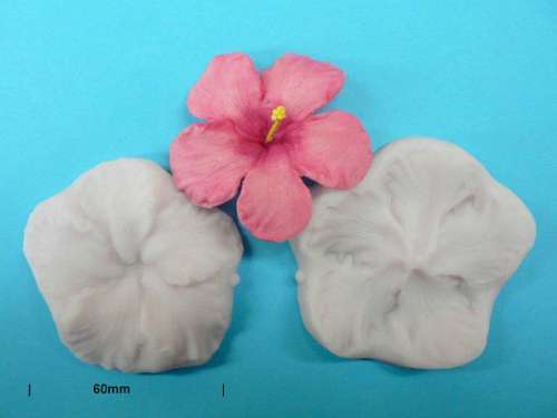 Hibiscus Flower Veiners - Click Image to Close